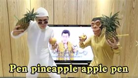 PPAP-蔡阿嘎臉書-https://www.facebook.com/WithGaLoveTaiwan/videos