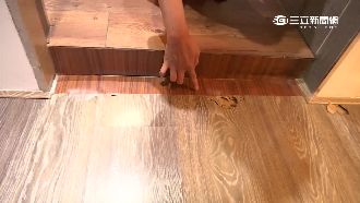 屋況說明書沒用！花千萬買「白蟻窩」