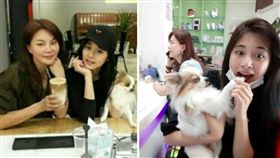 圖翻攝自ＴＷＩＣＥ官方ＩＧ　周子瑜 Tzuyu 쯔위臉書　　合成圖