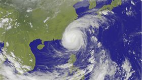 氣象局
衛星雲圖
颱風