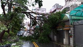 圖／網友水餃提供台中市漢口國中後門，大有街100巷颱風災情