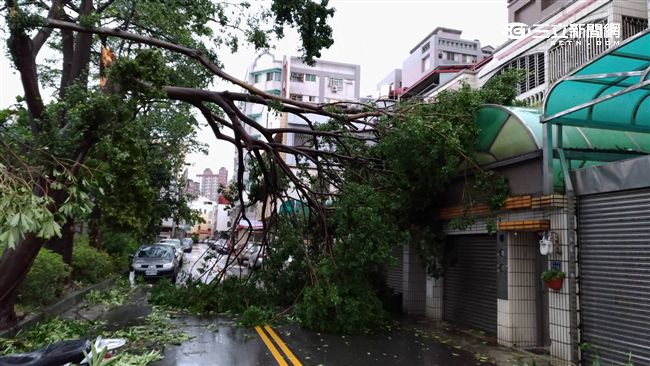 桃園、高雄、台南部分地區明停班停課