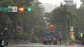 北市工務局冒險搶災處理樹倒 工務局提供