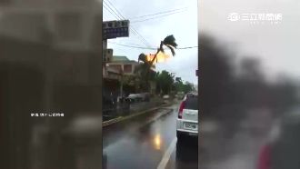 招牌、電線桿吹倒冒火花　民眾急撤離