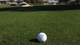 高爾夫球 圖／達志影像