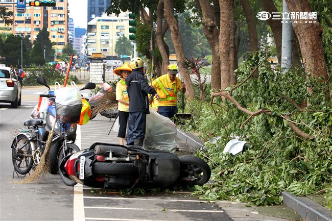 「梅姬」強風豪雨後帶來滿街落葉，清潔人員辛苦地清理。（記者邱榮吉/攝影）