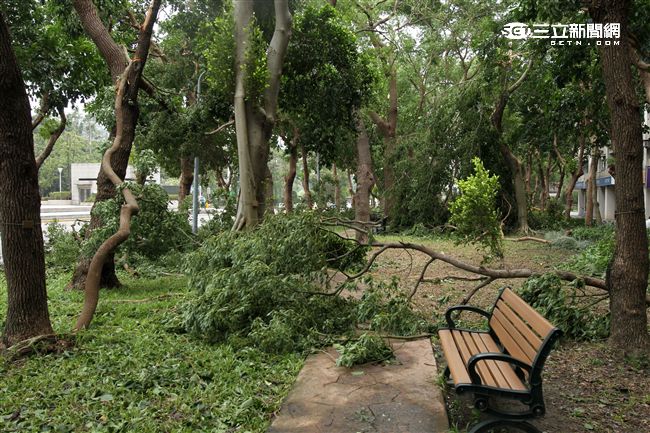 「梅姬」強風豪雨後路邊還有清不完的枝葉。（記者邱榮吉/攝影）