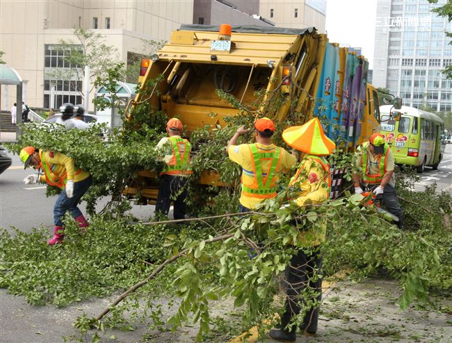 「梅姬」強風豪雨後拉垃圾車一車一車載滿掉落樹枝。（記者邱榮吉/攝影）