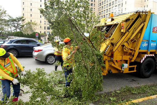 「梅姬」強風豪雨全國停班停課，除了國軍外還有環保局清潔人員辛勞的處理災後掉落滿地的枝葉，一車一車的載走，不知要何時才能清完。（記者邱榮吉/攝影）
