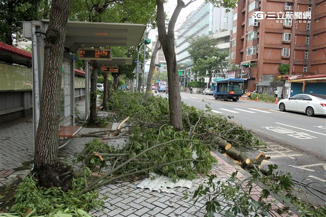 「梅姬」強風豪雨後路邊還有清不完的枝葉。（記者邱榮吉/攝影）
