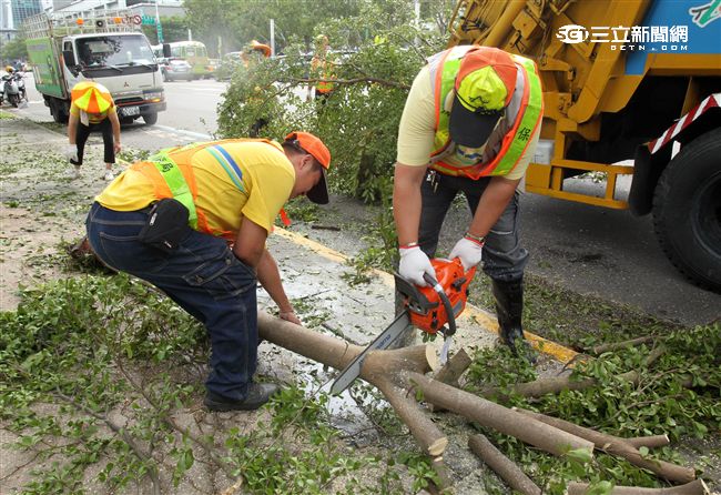 「梅姬」強風豪雨全國停班停課，除了國軍外還有環保局清潔人員辛勞的處理災後掉落滿地的枝葉，一車一車的載走，不知要何時才能清完。（記者邱榮吉/攝影）
