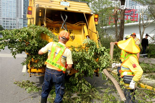 「梅姬」強風豪雨後拉垃圾車一車一車載滿掉落樹枝。（記者邱榮吉/攝影）