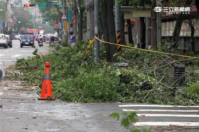 「梅姬」強風豪雨後路邊還有清不完的枝葉。（記者邱榮吉/攝影）
