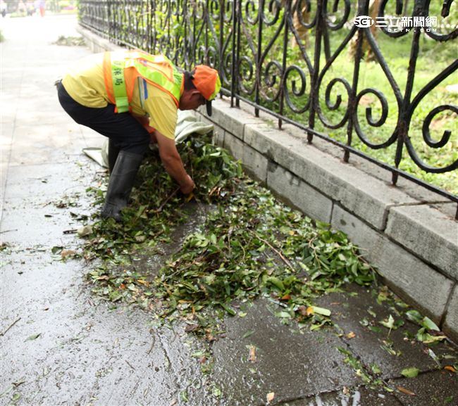 「梅姬」強風豪雨全國停班停課，除了國軍外還有環保局清潔人員辛勞的處理災後掉落滿地的枝葉，一車一車的載走，不知要何時才能清完。（記者邱榮吉/攝影）