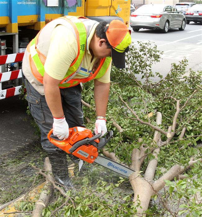 「梅姬」強風豪雨全國停班停課，除了國軍外還有環保局清潔人員辛勞的處理災後掉落滿地的枝葉，一車一車的載走，不知要何時才能清完。（記者邱榮吉/攝影）