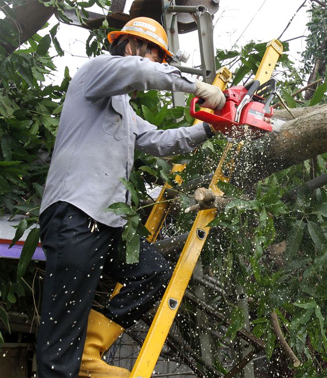 「梅姬」強風豪雨全國停班停課，除了國軍外還有環保局清潔人員辛勞的處理災後掉落滿地的枝葉，一車一車的載走，不知要何時才能清完。（記者邱榮吉/攝影）