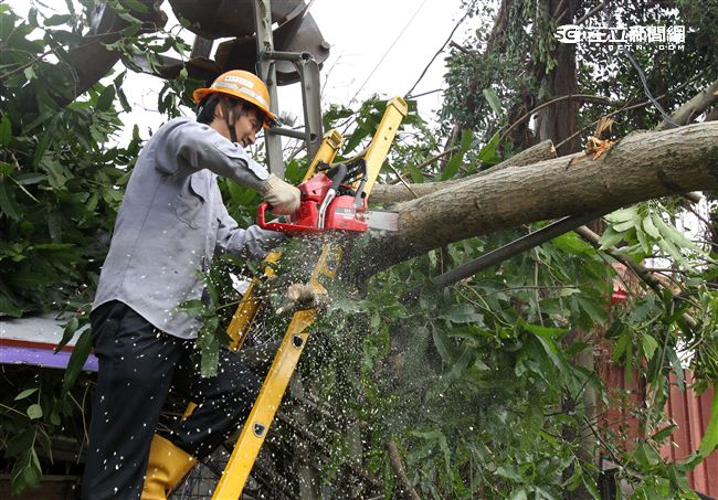 「梅姬」強風豪雨全國停班停課，除了國軍外還有環保局清潔人員辛勞的處理災後掉落滿地的枝葉，一車一車的載走，不知要何時才能清完。（記者邱榮吉/攝影）