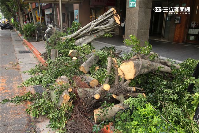 「梅姬」強風豪雨後路邊還有清不完的枝葉。（記者邱榮吉/攝影）