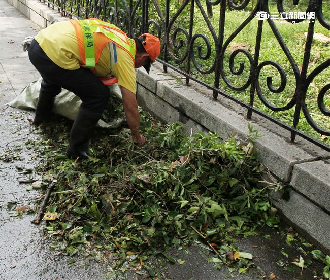「梅姬」強風豪雨後帶來滿街落葉，清潔人員辛苦地清理。（記者邱榮吉/攝影）