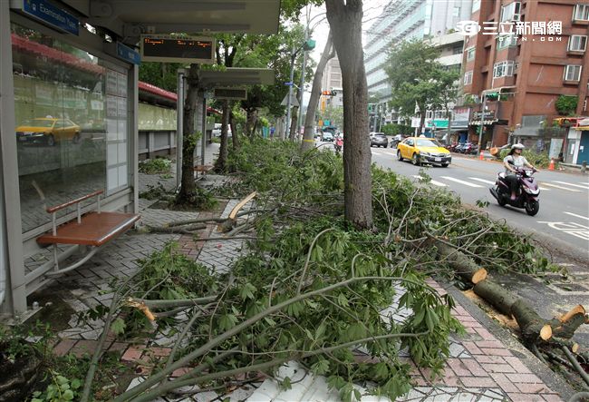 「梅姬」強風豪雨後路邊還有清不完的枝葉。（記者邱榮吉/攝影）