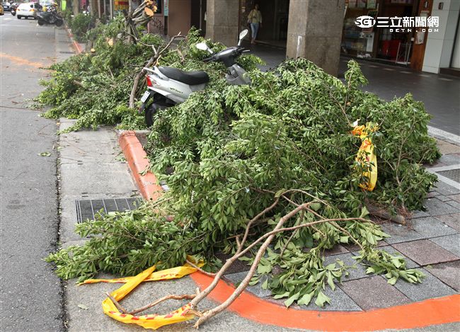 「梅姬」強風豪雨後路邊還有清不完的枝葉。（記者邱榮吉/攝影）