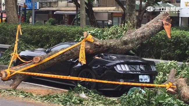 中颱梅姬肆虐台北　野馬跑車慘遭壓毀