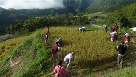阿美族部落的花蓮吉哈拉艾文化景觀區（圖／中央社）
