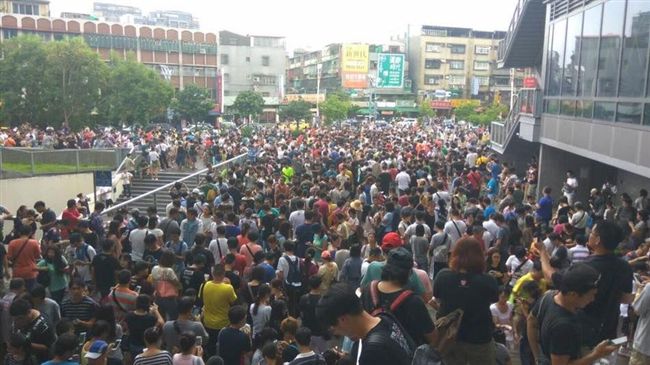 小火龍築巢　玩家颱風假擠爆新莊公園