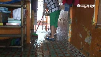 屏東大雨淹民宅！民眾目睹魚游進客廳