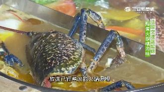 「龍蝦界藍寶堅尼」　飯店推高檔火鍋