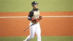 陽岱鋼（圖／中央社）