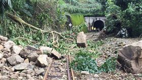 阿里山森林鐵路（圖／取自FUN臺鐵臉書）