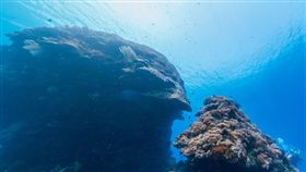 綠島千年「大香菇」 圖/翻攝自Google街景圖 16:9