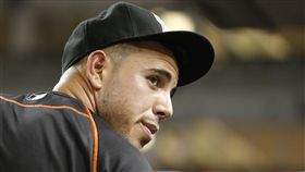 Jose Fernandez(AP)
