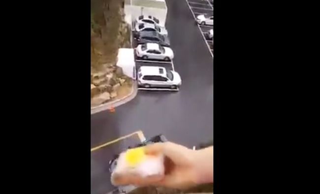 人妻從高樓扔三明治　神準降落駕駛座