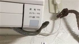 蛇 冷氣
https://twitter.com/lesser_dog