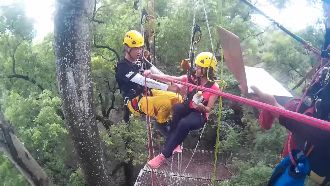 消防員爬20米樹　大鑽戒套牢女友