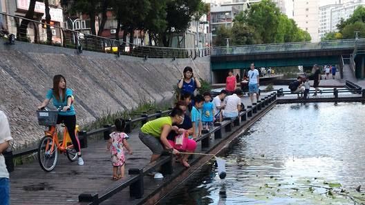 屁孩公園撈烏龜　家長嗆：又沒有要吃
