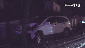 s神撞兩樹間1600