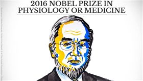 諾貝爾醫學獎  日學者大隅良典獨得
Nobel Prize諾貝爾臉書