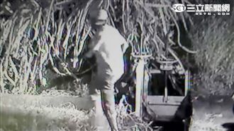 交保再犯案　衰農家連3天遭賊偷水果