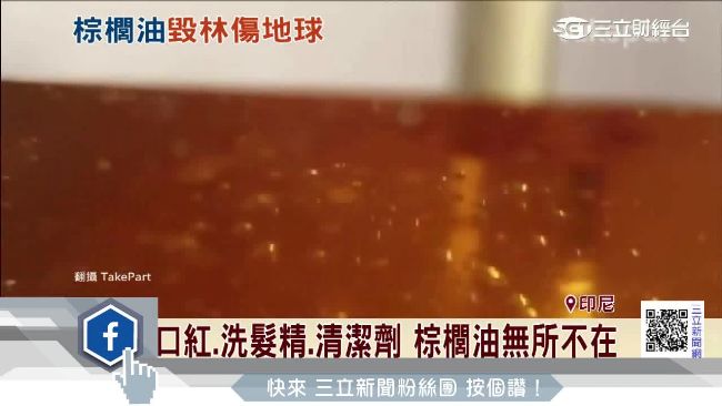 棕櫚油歐美爆紅　意外成為環保殺手