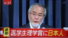 諾貝爾獎大隅良典勉年輕人 要勇於挑戰
翻拍自朝日電視台）
