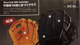 圖／翻攝自貳拾肆棒球棒球舖