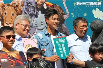 狗,貓,寵物,動物,浪浪,收容所,四四南村,毛小孩,世界動物日,孫其君（攝影／記者林顥宗）