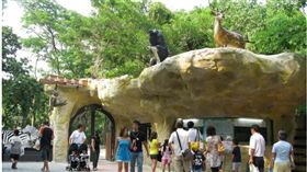 壽山動物園推動物認養　官網