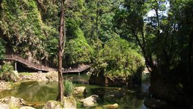 溪頭自然教育園區（圖／攝影者Yada Liao, Flickr CC License）