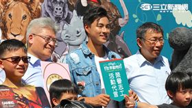 狗,貓,寵物,動物,浪浪,收容所,四四南村,毛小孩,世界動物日,孫其君（攝影／記者林顥宗）