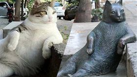 慵懶貓Tombili過世 土耳其立雕像紀念
hurriyetdailynews