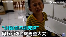 小強！你不能死啊　母殺小強 4歲男童大哭